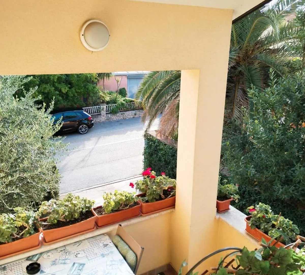 Apartment Novigrad Novigrad Istria 0*,