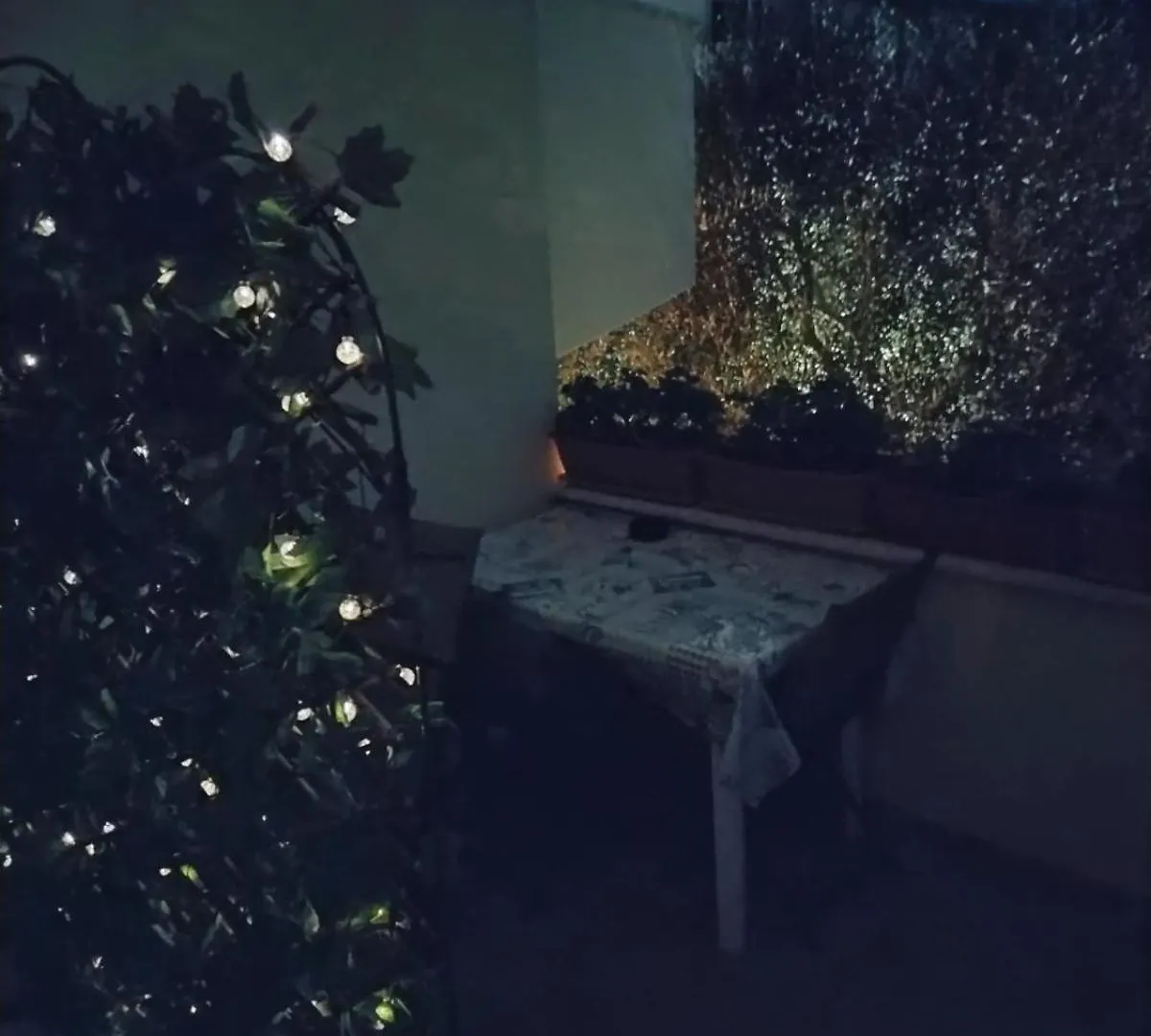 Apartment Novigrad Новиград